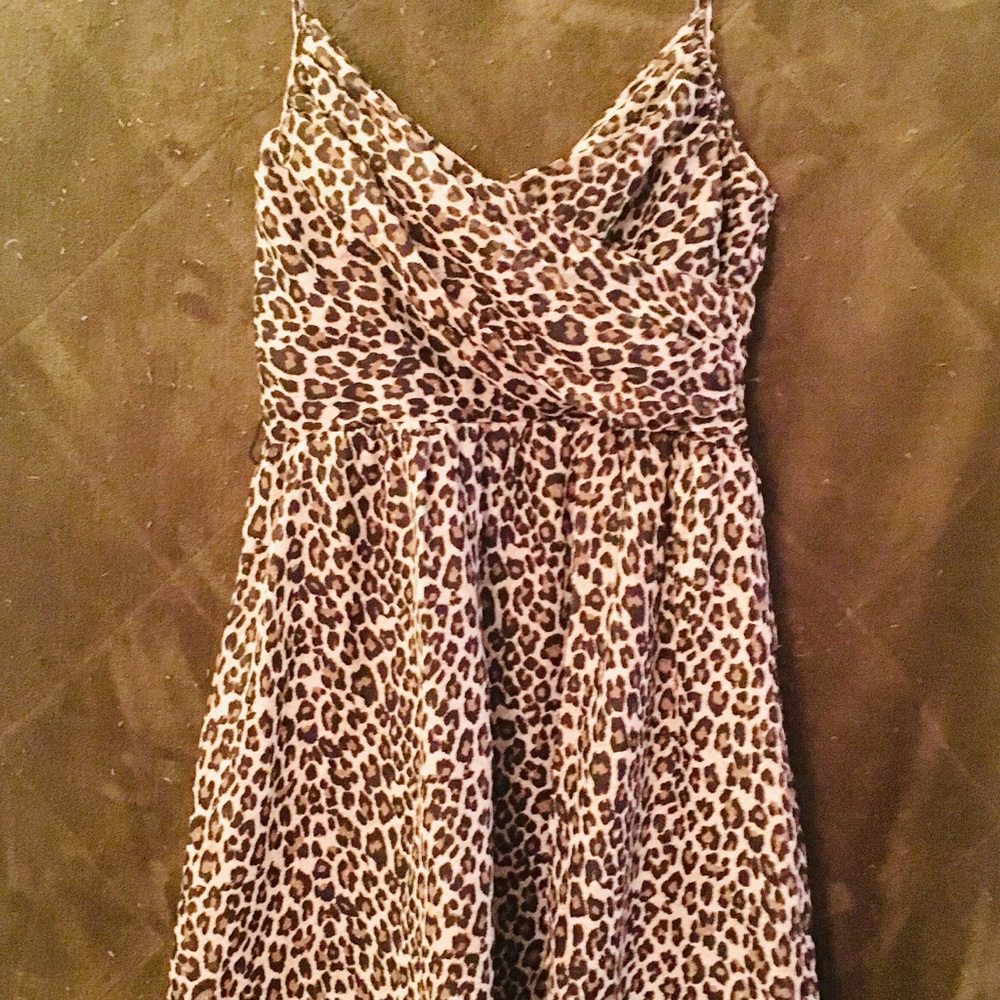 Leopard Print Dress
